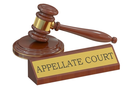 Appellate decision top